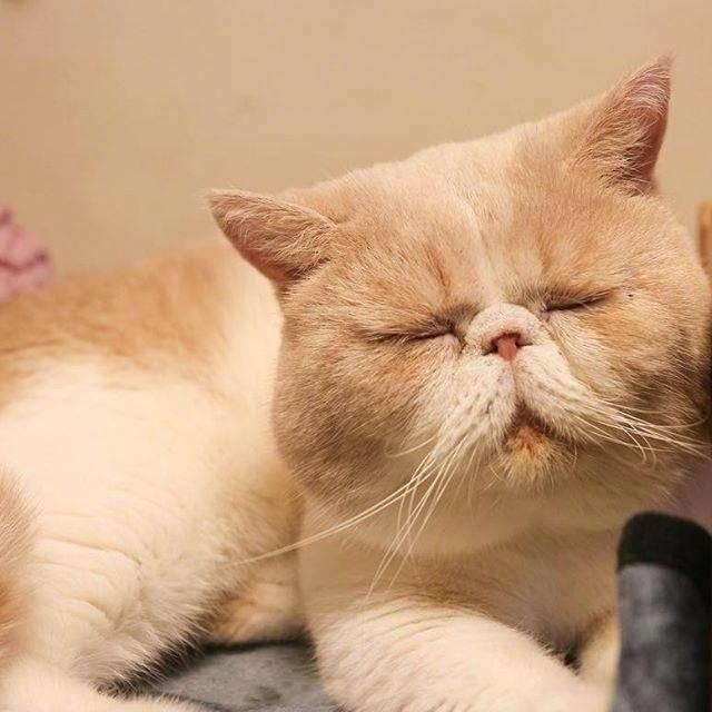 如果你触及了天秤座的底线