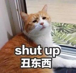 跟摩羯谈恋爱到底有多糟心