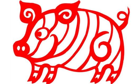 鸡猪婚配好吗?属相合婚配对看完就懂了