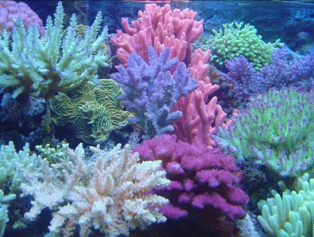 心理测试：测你的心智足够成熟吗？