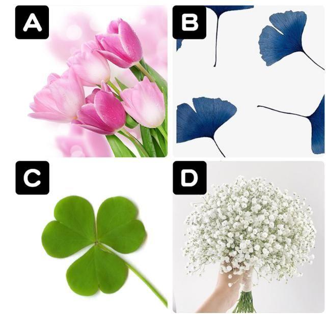 心理测试：4种植物选一种，测试你内心深处是什么样的人？