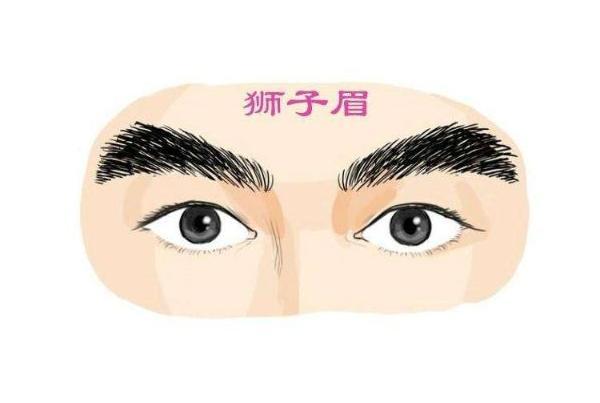 面相狮子眉的人富贵十足