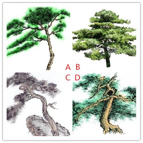 心理测试：4棵松树，哪1棵生命力最强？测试你的老年生活如何
