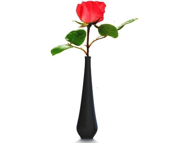 心理测试:以下花瓶,凭感觉选一个放到自己房间,测你的财运如何