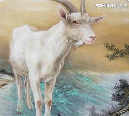 这3个生肖女多为劳碌命,一生操心不断,有福难享!