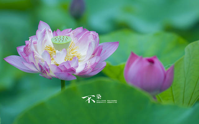 12月15号起,横财惹人羡慕,发大财赚大钱,全家都吃香的生肖